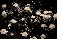 Mom’s Roses, Yesterday Is Today by Amy Friend