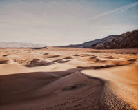 A Sea of Sand by Ruth Dahan