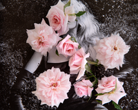 Lullaby by Dina Broadhurst