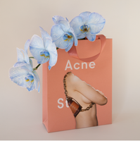 Bagged It (Acne/Baby Blues) by Dina Broadhurst